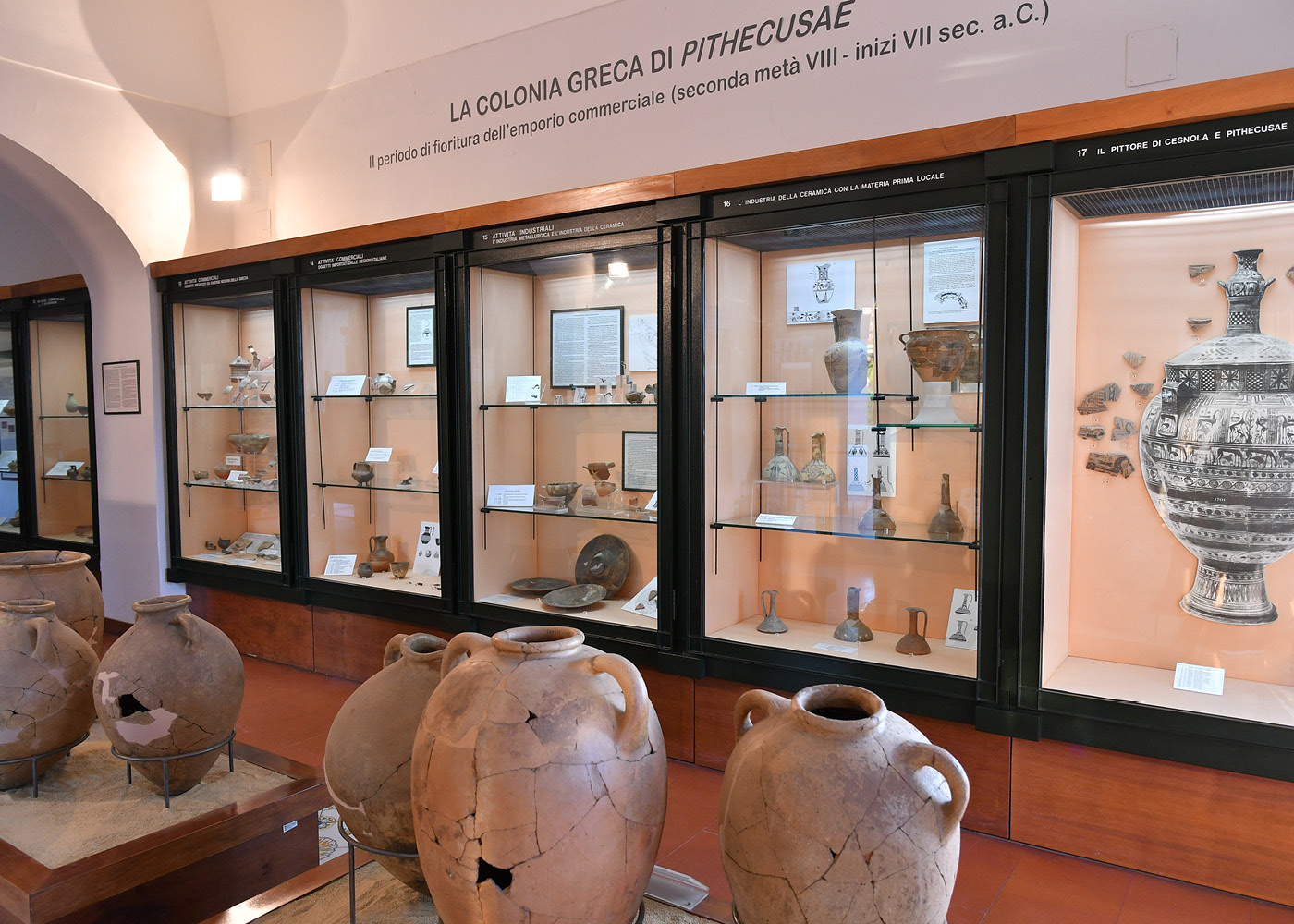 storia-museo-di-pithecusae-g2
